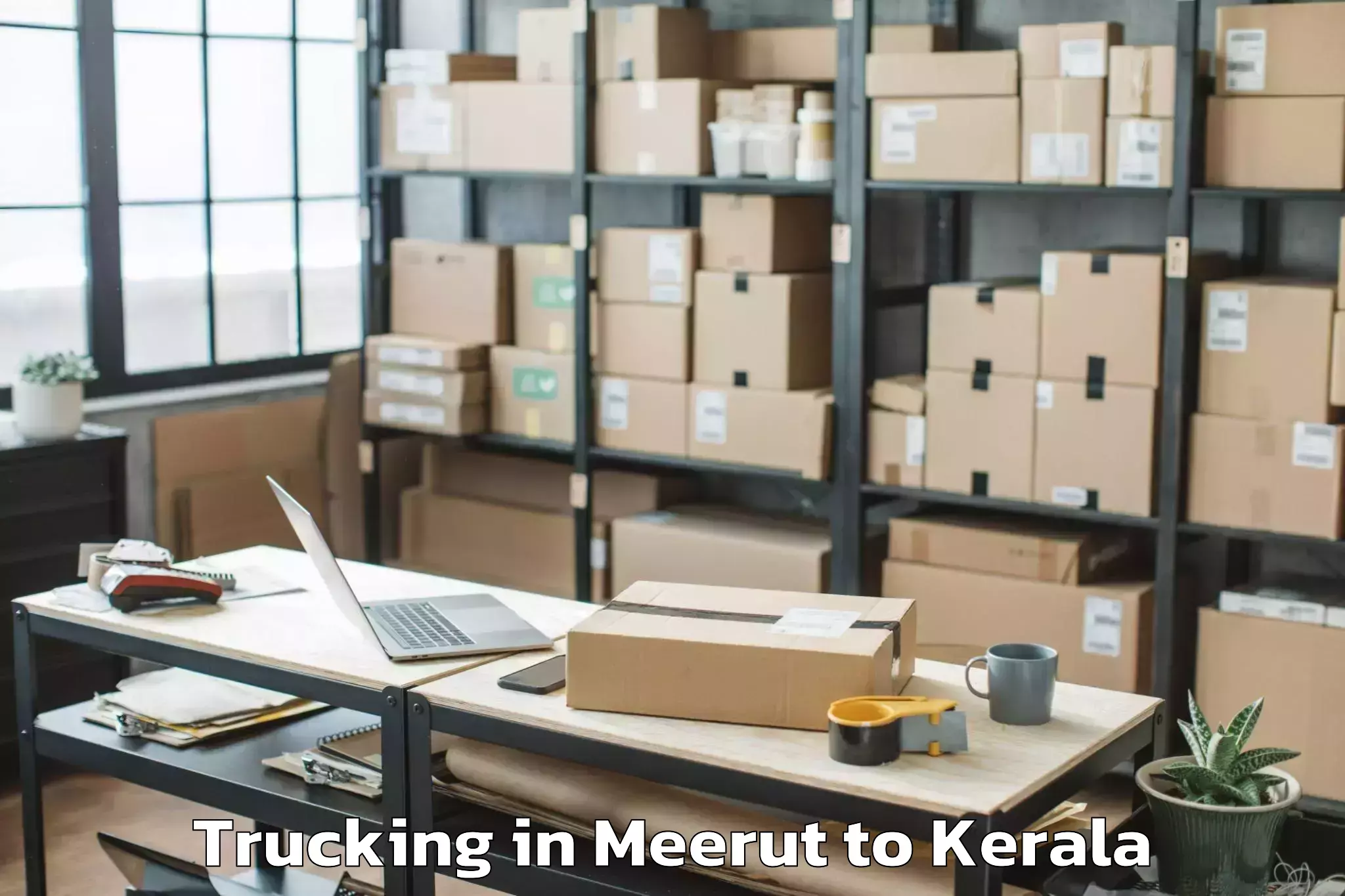 Top Meerut to Pandanad Part Trucking Available